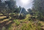 Armeni bei Chania Kreta, Armeni Chania: Grundstück mit Bergblick zum Verkauf in Armenoi Grundstück kaufen